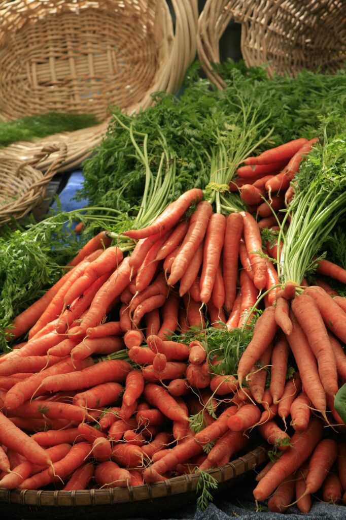 carrots, carrot, bunch